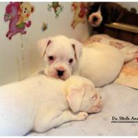 Nos bébés, Un Mois