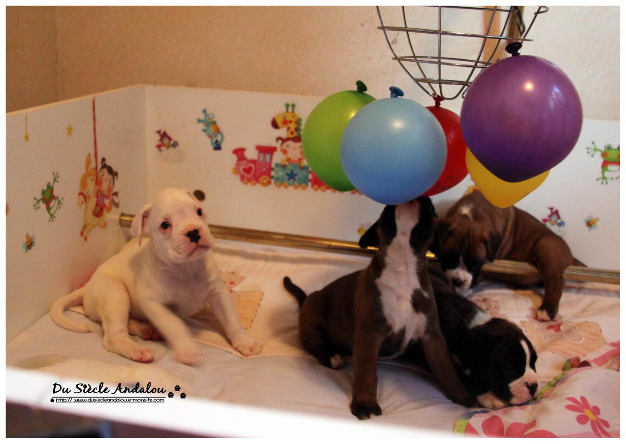 Nos bébés, Un Mois