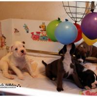 Nos bébés, Un Mois