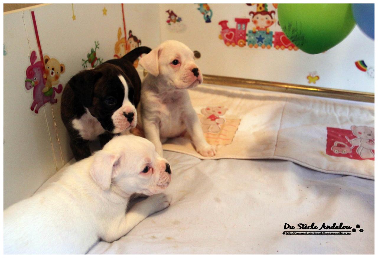 Nos bébés, Un Mois