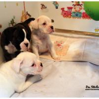 Nos bébés, Un Mois