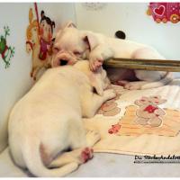 Nos bébés, Un Mois