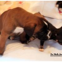 Nos bébés, Un Mois