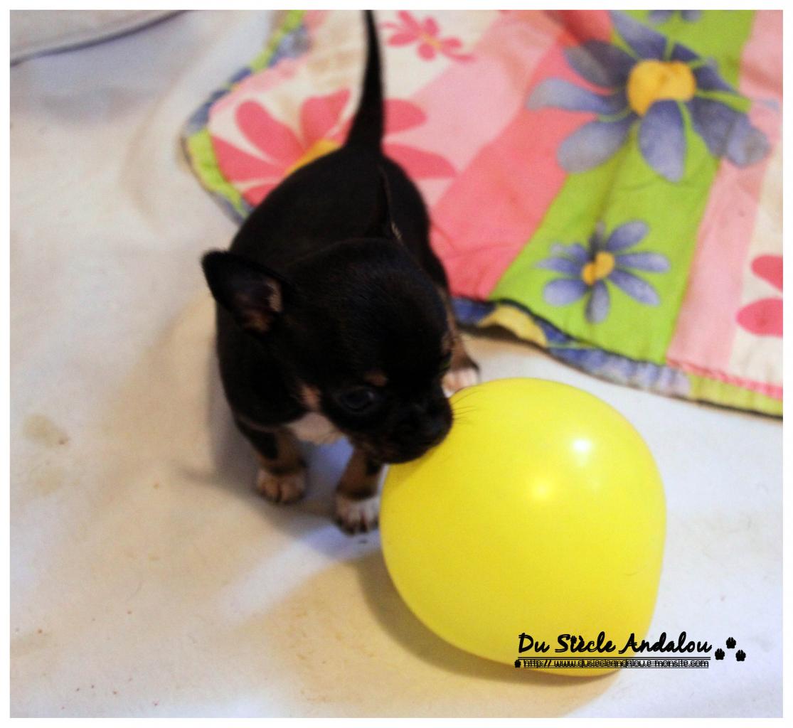 Nos bébés, Un Mois