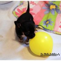 Nos bébés, Un Mois