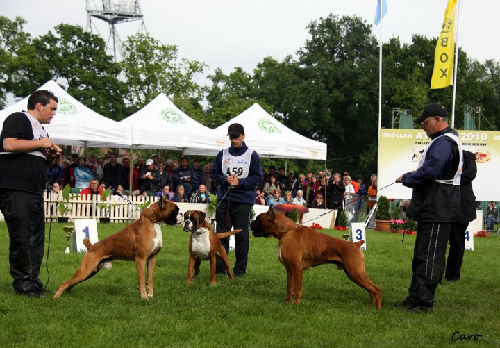 Chelton Atibox Pologne 2010