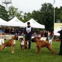 Chelton Atibox Pologne 2010