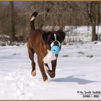 Azzaro Neige 01.03.18 