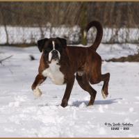 Azzaro Neige 01.03.18 