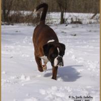 Azzaro Neige 01.03.18 