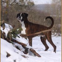 Azzaro Neige 01.03.18