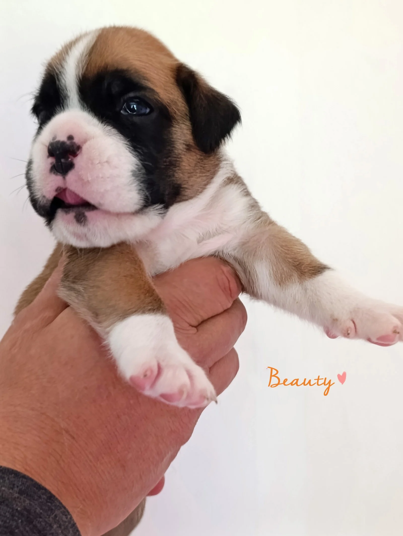Beauty 20 j 1