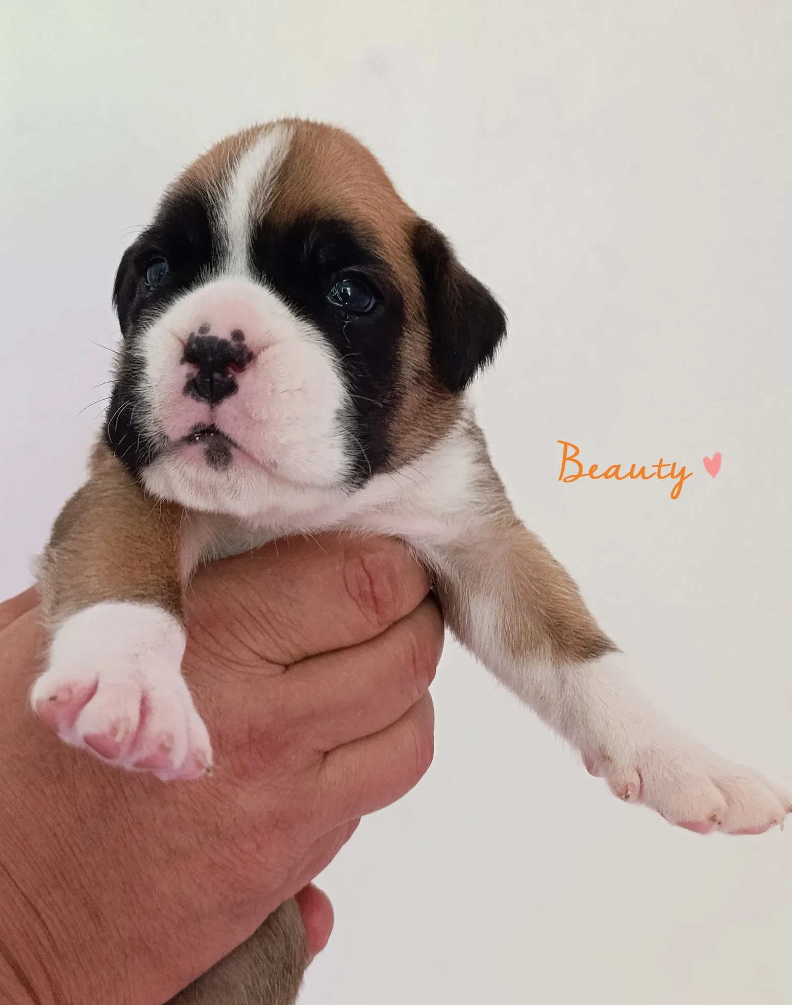 Beauty 20 jours