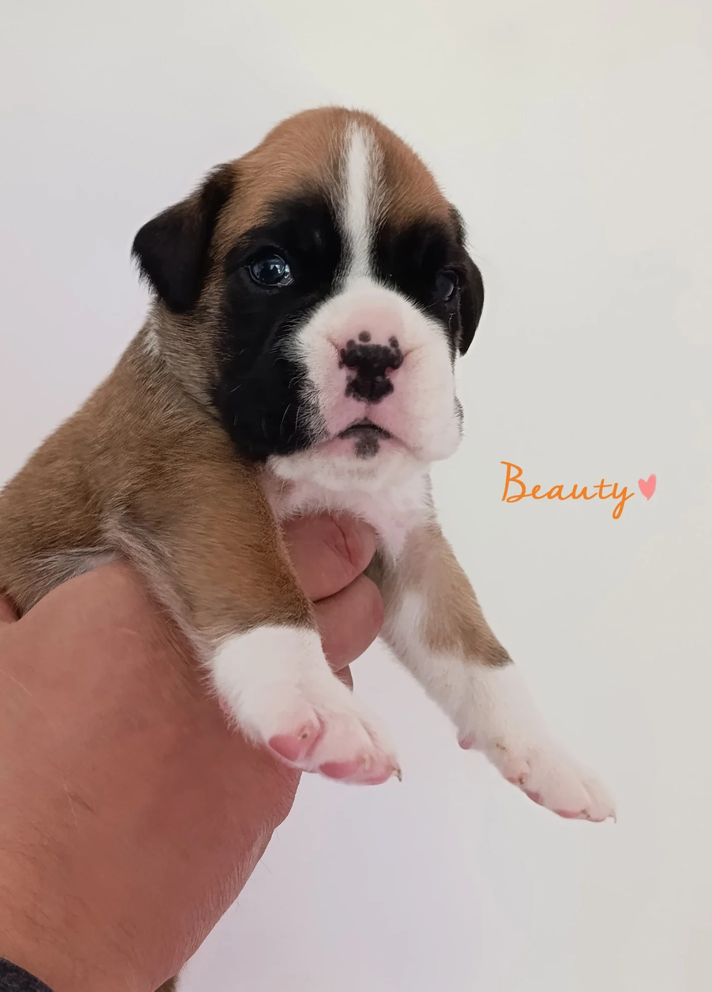 Beauty 20 jours