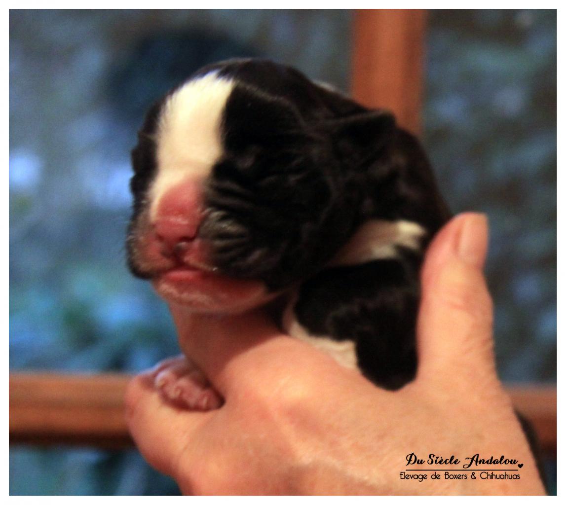 Inessa, 4 heures de vie