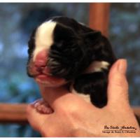 Inessa, 4 heures de vie