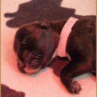 Bébé R'Bailey 5 jours