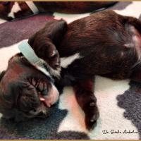 Bébé Rocket 5 jours