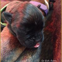 Bébé R'Spooky 5 jours