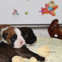 Bébés J -18 Día 18