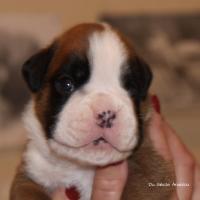 Jerez Du Siècle Andalou / J-18 - Día 18