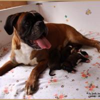 Bébés, premier jour