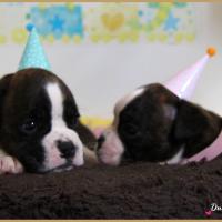 Bebes 1 mois 14.08.18 