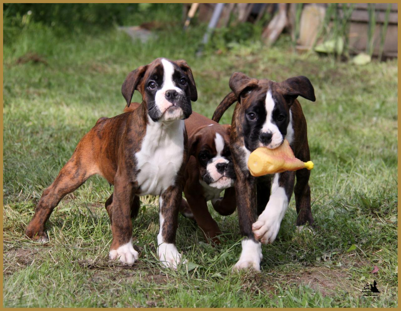 Bébés 14.05.16, la première sortie ! 