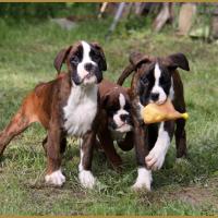 Bébés 14.05.16, la première sortie ! 