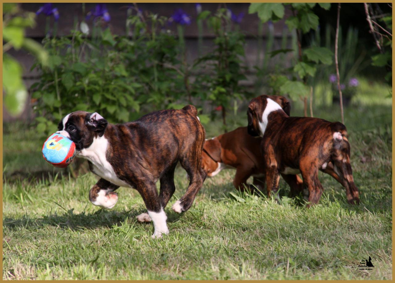 Bébés 14.05.16, la première sortie ! 