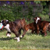 Bébés 14.05.16, la première sortie ! 