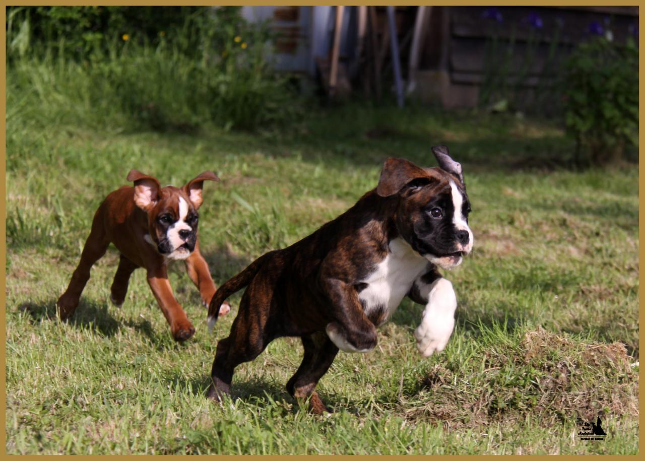 Mango & MaDalton 14.05.16, la première sortie ! 