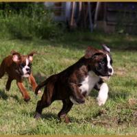 Mango & MaDalton 14.05.16, la première sortie ! 