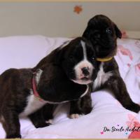 Bebes, 15 jours 28.07.18