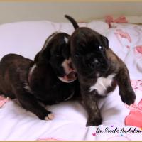 Bebes, 15 jours 28.07.18