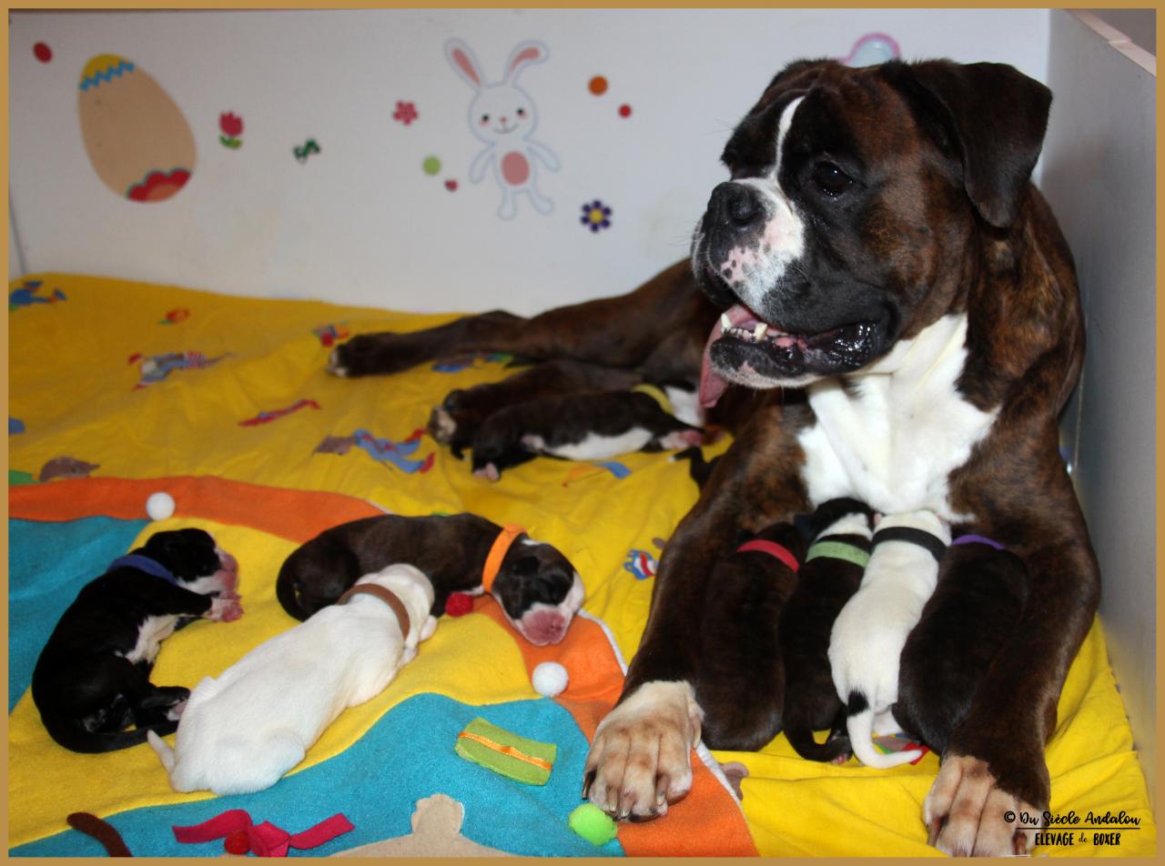 Maman & bébés, 2 jours