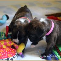 Bebes, 24 jours 06.08.18 