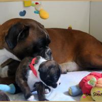 Bebes 24 jours 07.08.18