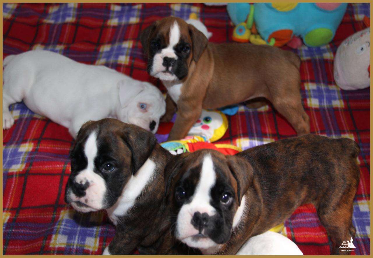 Les bébés à 43 jours