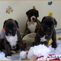 Bébés, 30 jours 13.08.18 