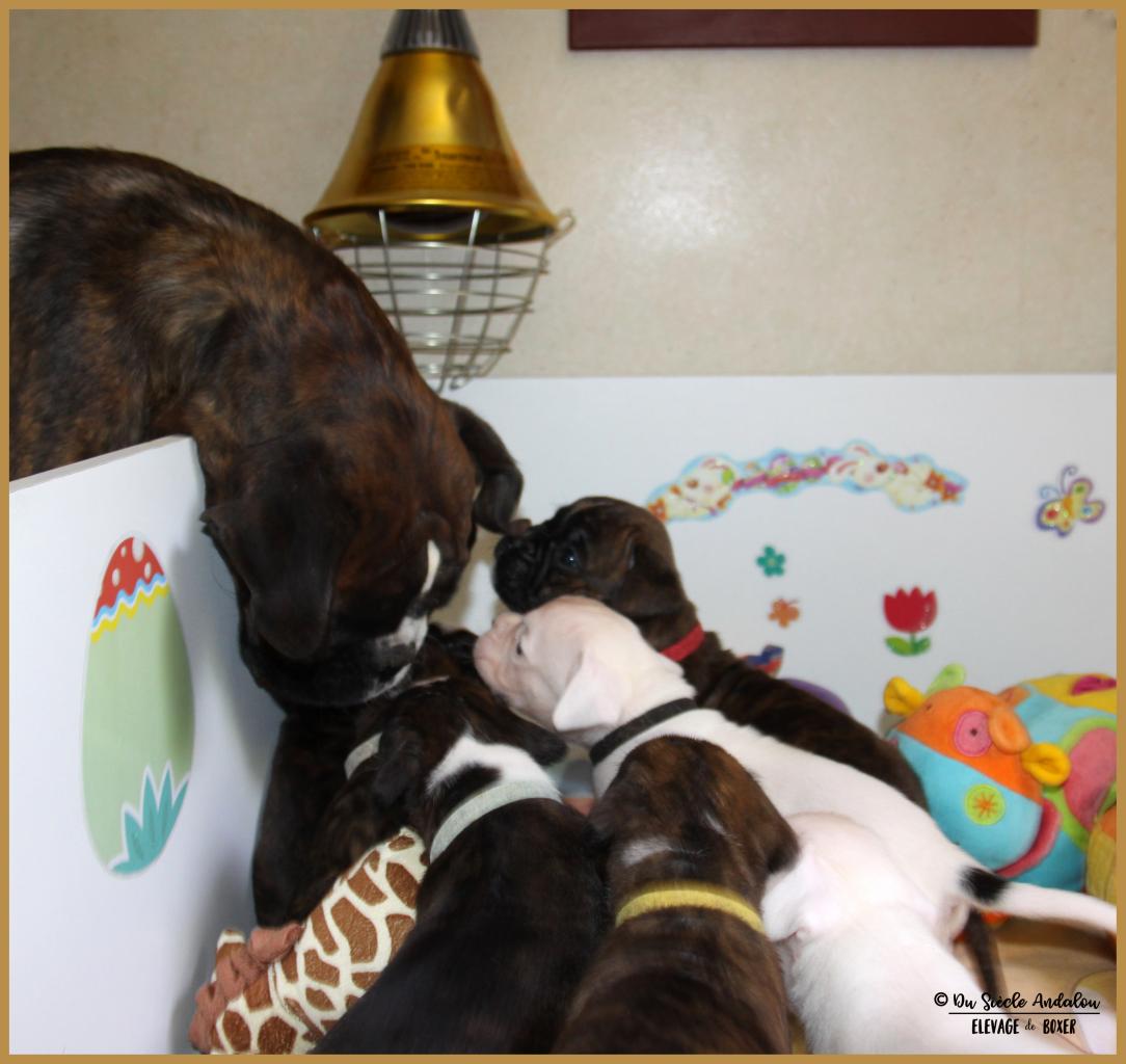 Bebes 33 j 31.05.17  9277