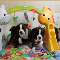 Bebes 38 jours 22.08.18 