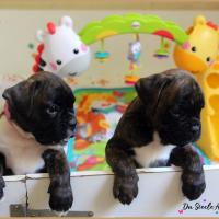 Bebes 40 jours 22.08.18 8817