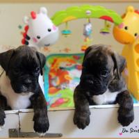 Bebes 40 jours 22.08.18