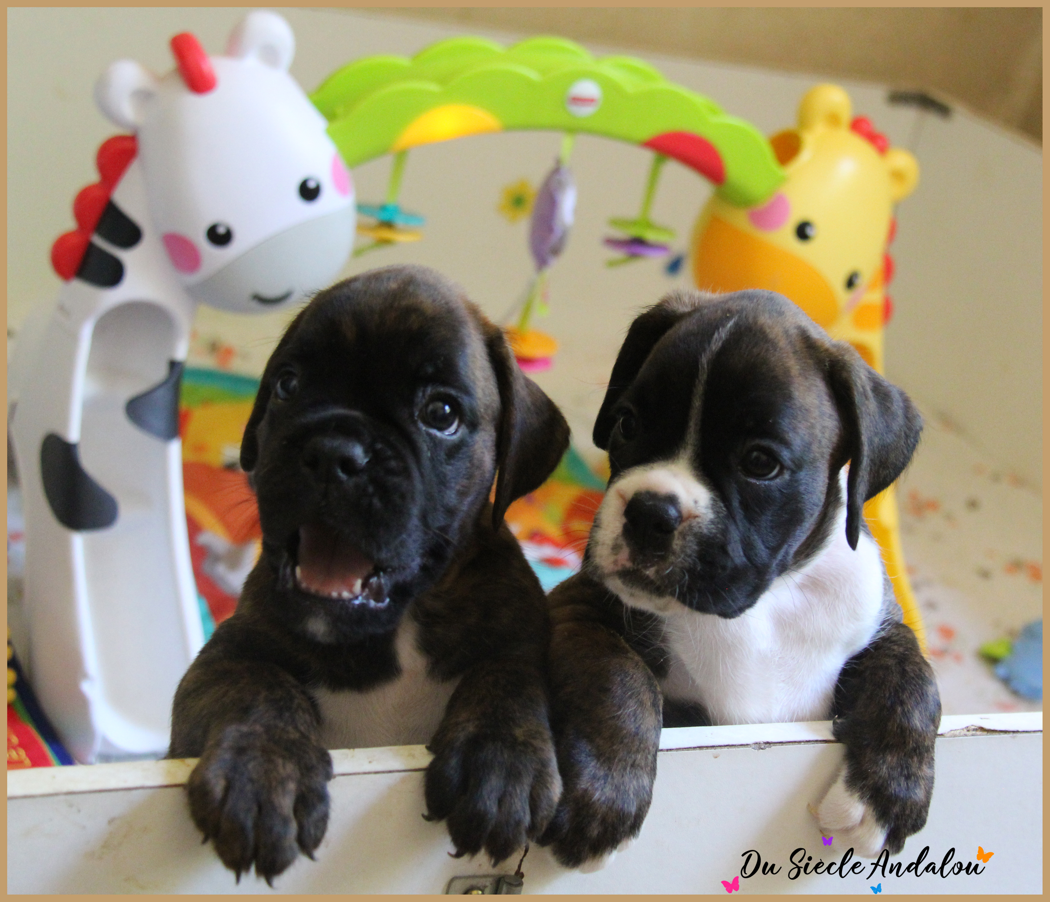 Bebes 40 jours 22.08.18 8880