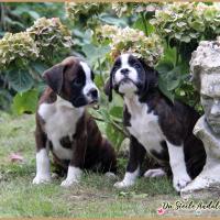 Bebes 52 Jours 04.09.18 