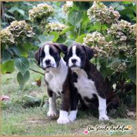 Bebes 52 Jours 04.09.18 