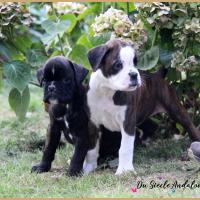 Bebes 52 Jours 04.09.18 