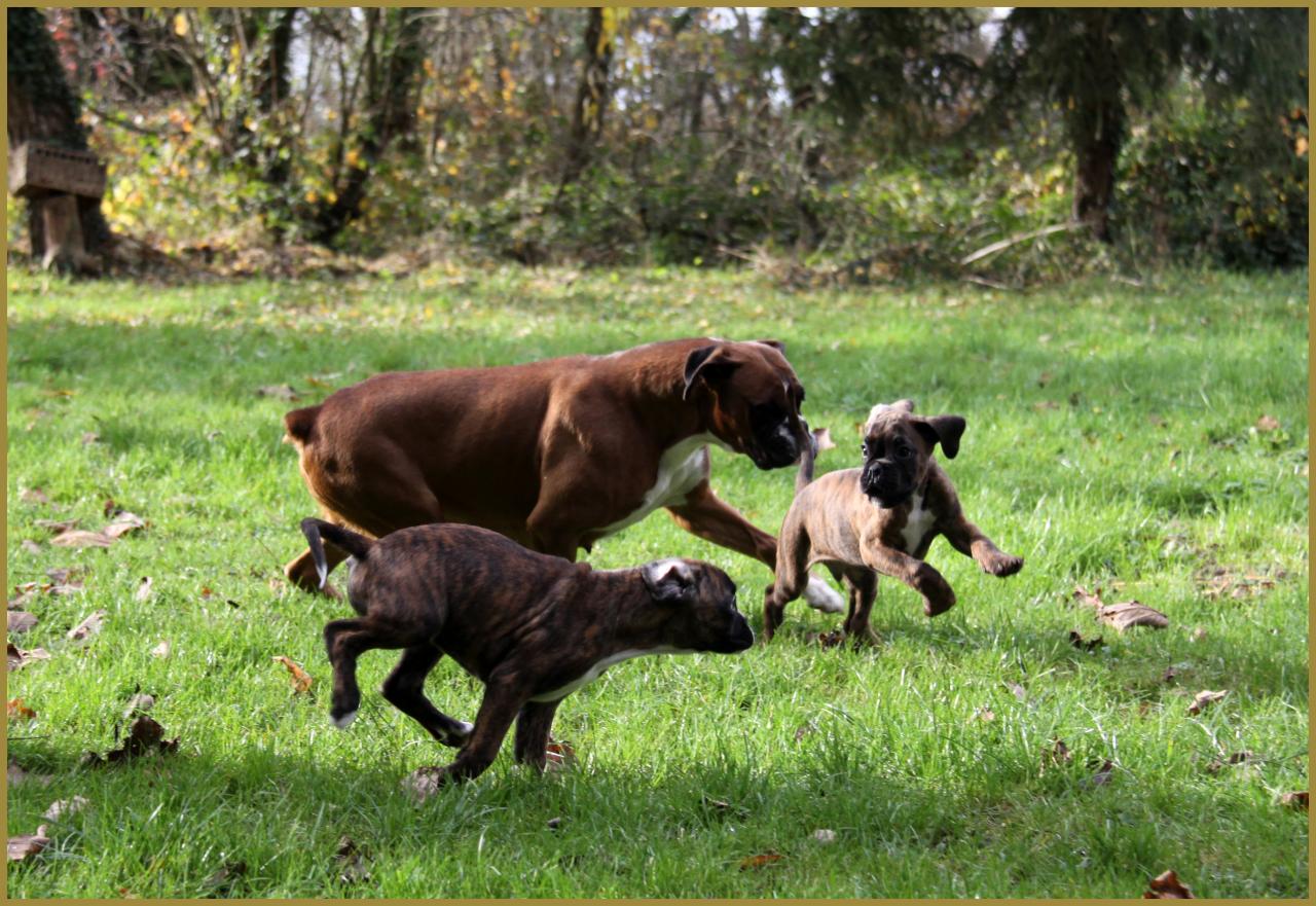 Bébés au jardin 28.11.14 