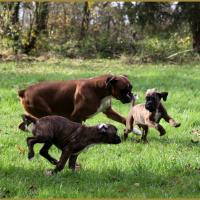 Bébés au jardin 28.11.14 